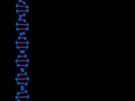 Dna On A Black Clip Art Backgrounds