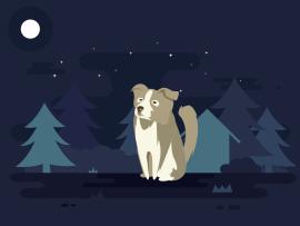 Dog and Moon Backgrounds