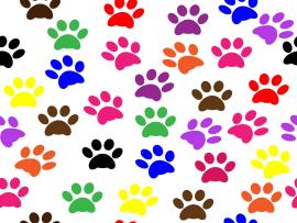 Dog Food Art Backgrounds