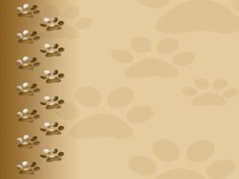 Dog Paw Dog Paw Print image Backgrounds