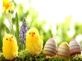 Easter Colorful Images Festival Template Backgrounds