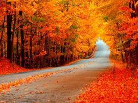 Fall  HDs Of Your Choice Clipart Backgrounds