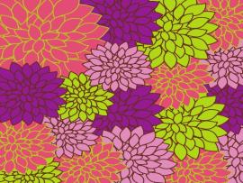 Floral Bright Colorful Free Stock Photo  Public Domain   Wallpaper Backgrounds
