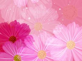 Floral Pattern  Flower Design  Floral 1600*1200 Design Backgrounds