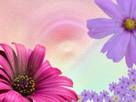Floral Spring Clipart Backgrounds