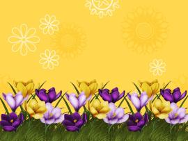 Flower Border image Backgrounds