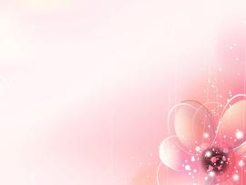 Flower Pop Pink Backgrounds