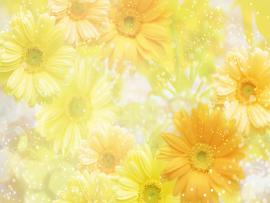 Flowers Flower Flower Texture  Texture Flowers Flower   Slides Backgrounds