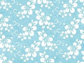 Flowers Pattern Blue Quality Backgrounds