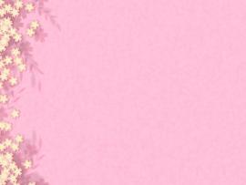 Flowers With Pink Backgrounds