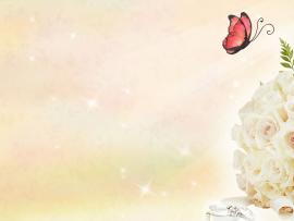 Free Butterfly and Roses For   Love  Wallpaper Backgrounds