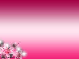 Free Pink Flowers For PowerPoint  Flower Frame Backgrounds