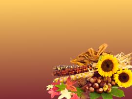 Free Thanksgiving Photo Backgrounds