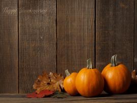Free Thanksgiving PowerPoint  PowerPoint Tips Picture Backgrounds