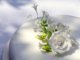 Free Wedding Flower ands  Part 2  PPT   Presentation Backgrounds