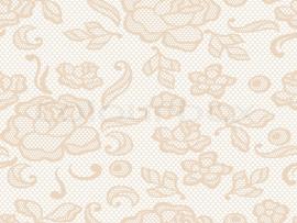 Go Back > Gallery For > Cream Lace Graphic Backgrounds