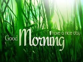 Good Morning Have Nice Day Presentation Backgrounds