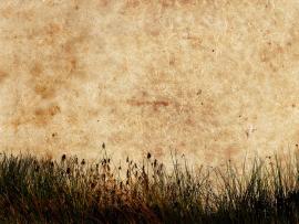 Grass Textured Download Backgrounds