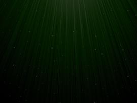 Green and Black Design Backgrounds