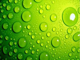 Green Bubbles Backgrounds