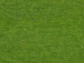 Green Field Sports Art Backgrounds