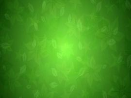 Green Floral Stars Texture Power Point Green Floral   Graphic Backgrounds