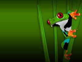 Green Frog Animal  Animals Green  PPT Template Backgrounds
