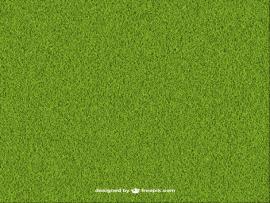 Green Grass 23 2147513406 Jpg Backgrounds