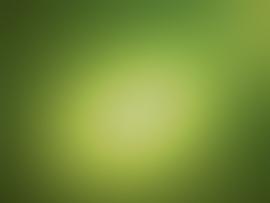 Green Backgrounds