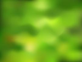 Green Nature Blurry Presentation Backgrounds