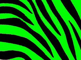 Green Zebra Print CategoryPets & Animals Resolution480x360 Tags   Graphic Backgrounds