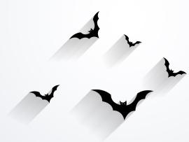 Halloween  Black Christmas White  PPT Graphic Backgrounds