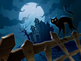 Halloween Frame Backgrounds