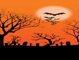 Halloween Iphone Tags Bat Halloween   Quality Backgrounds