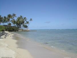 Hawaii Beach A Beautiful Beach In Hawaii Keywords Beach Ocean Tree   image Backgrounds