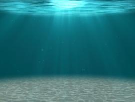 Hd Motion Underwater Backgrounds