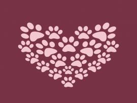 Heart Paw Print Backgrounds
