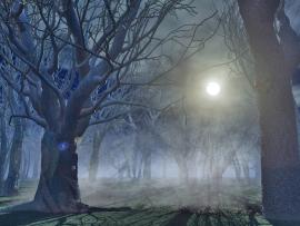 Hindi Motivational Spooky Forest Backgrounds