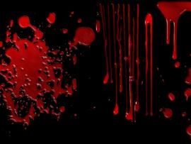 Home Page  Textures Blood Dripping Transparent Walpaper Frame Backgrounds