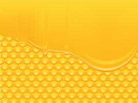 Honeycomb Vector Frame Backgrounds