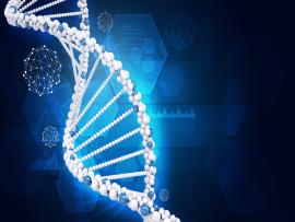 Human DNA Of Hexagons Backgrounds