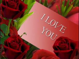 I Love You Red Roses Art Backgrounds