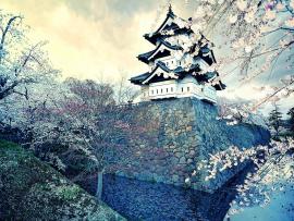 Japanese White Nature Hd Design Backgrounds