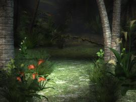 Jungle Graphic Backgrounds