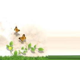 Jungles Templates and Jungle Animals Butterfly Frame Backgrounds