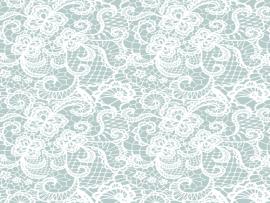 Lace Pattern White Lace Seamless Pattern Design Backgrounds