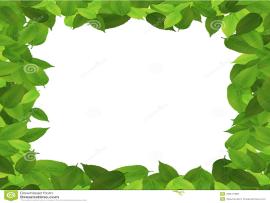 Leaf Border Art Backgrounds