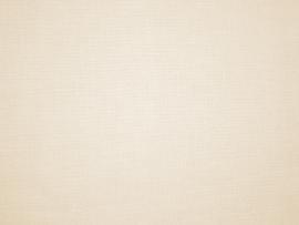 Light Beige Color Image Backgrounds