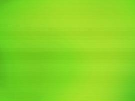 Light Green Backgrounds