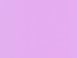 Light Purple Color Quality Backgrounds